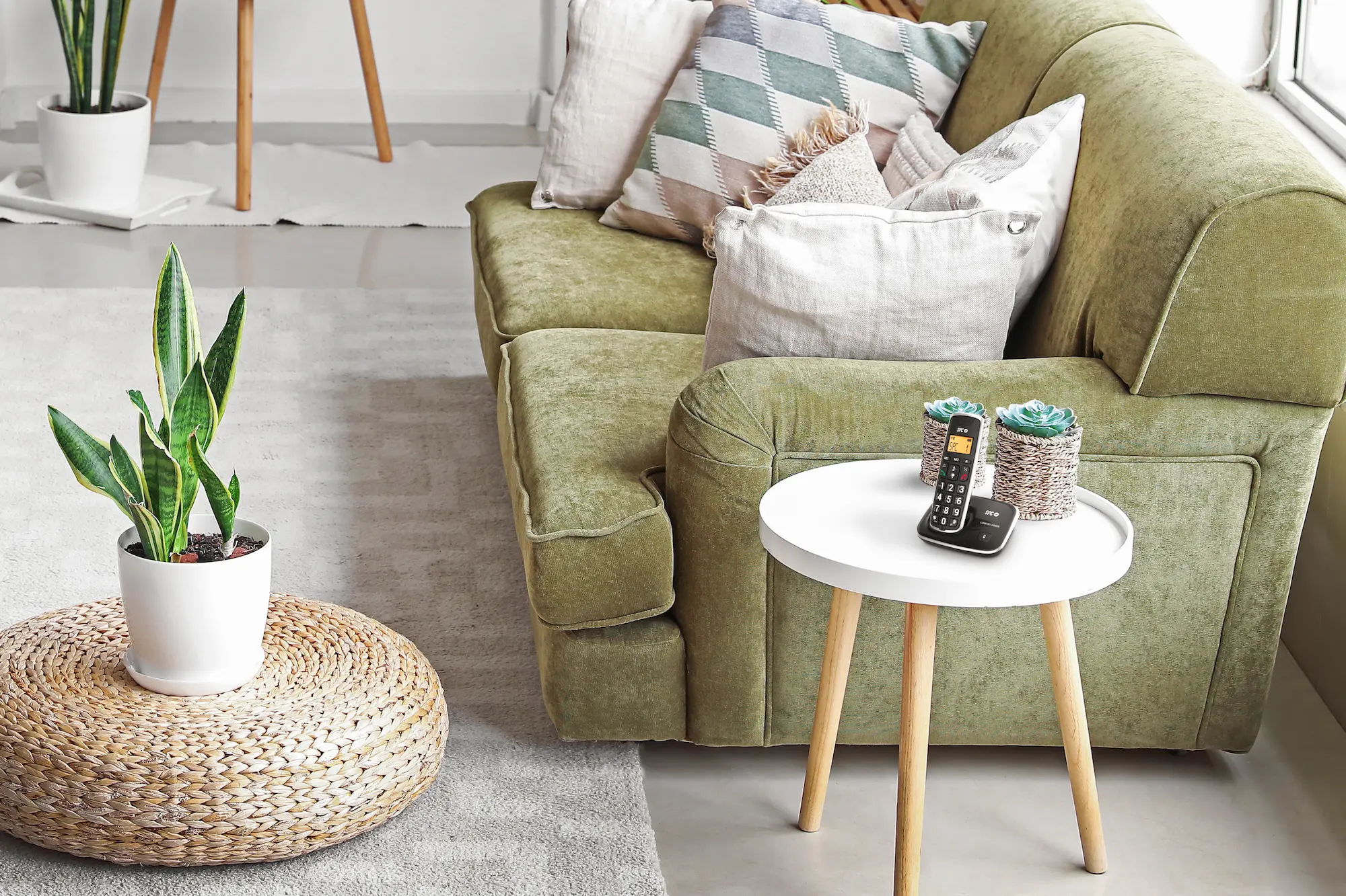 Imagen del producto 5