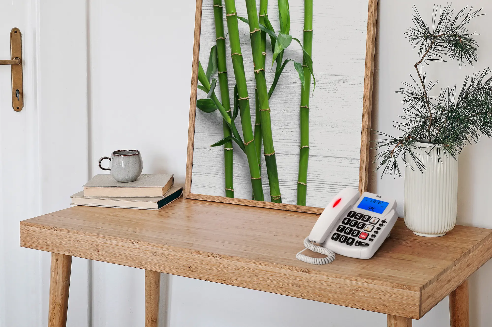 Imagen del producto 5