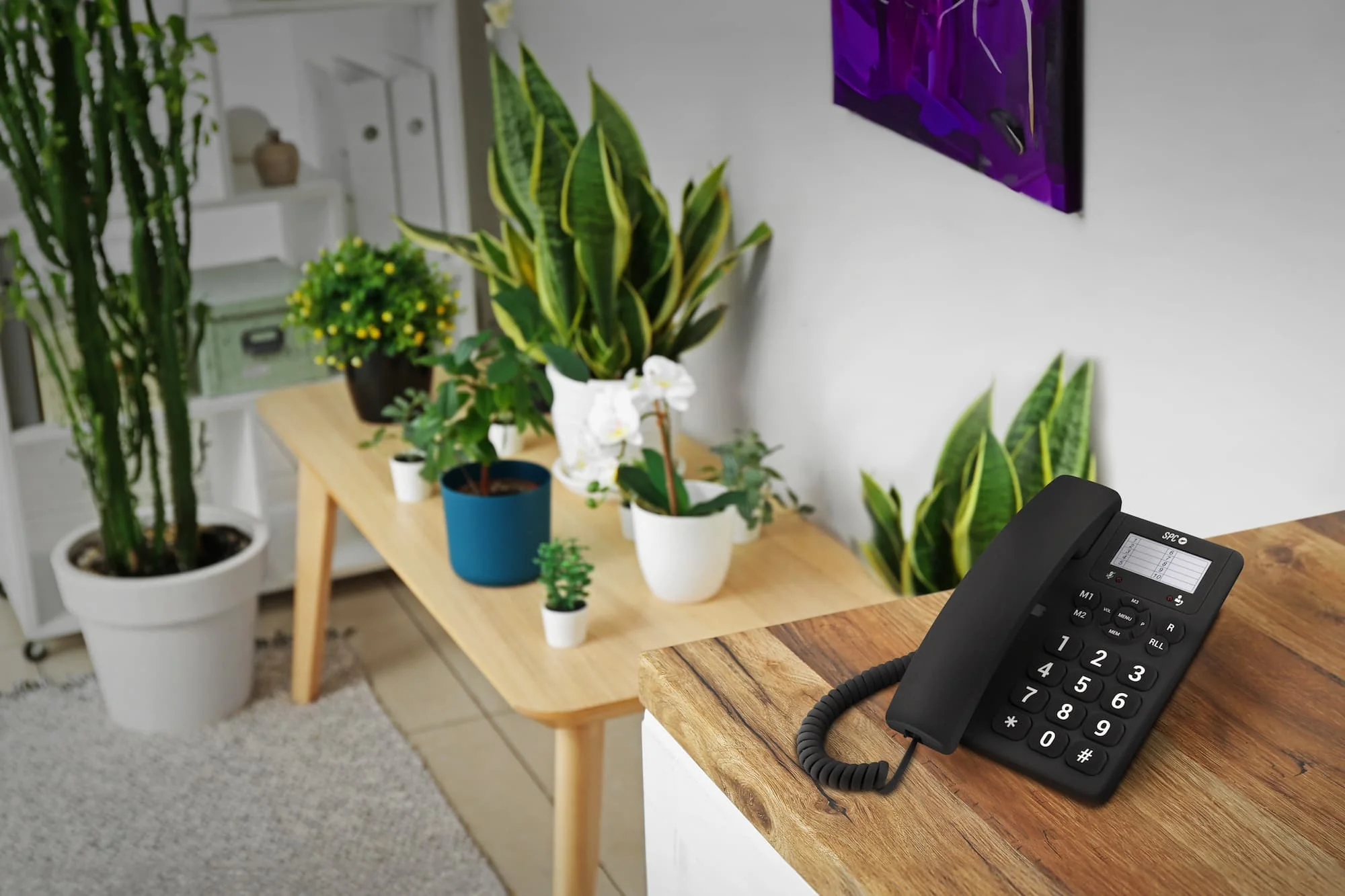 Imagen del producto 9